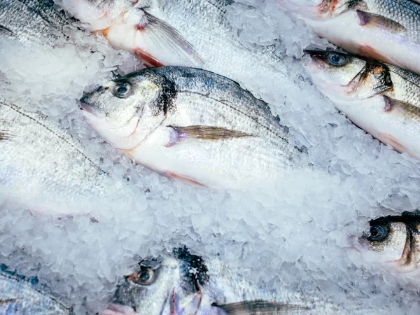 pesce-surgelato-per-ristoranti-lodi-pavia