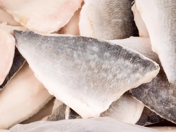 vendita-pesce-surgelato-grossista-pavia